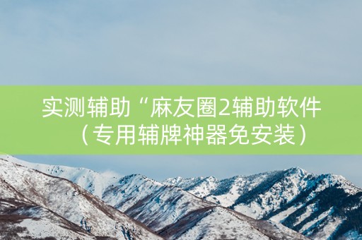 实测辅助“麻友圈2辅助软件（专用辅牌神器免安装）