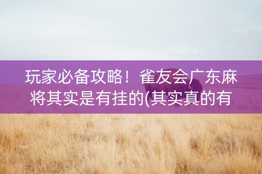 玩家必备攻略！雀友会广东麻将其实是有挂的(其实真的有挂)