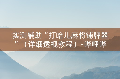 实测辅助“打哈儿麻将铺牌器”（详细透视教程）-哔哩哔哩