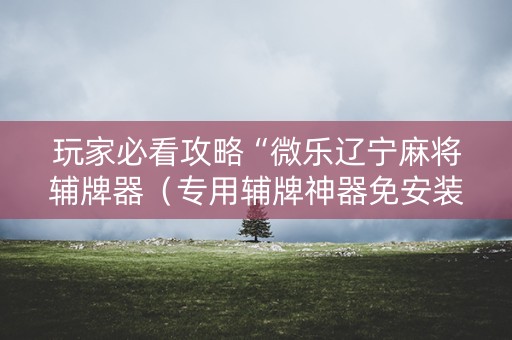 玩家必看攻略“微乐辽宁麻将辅牌器（专用辅牌神器免安装）