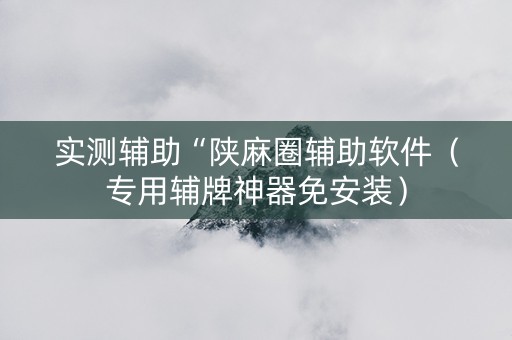 实测辅助“陕麻圈辅助软件（专用辅牌神器免安装）