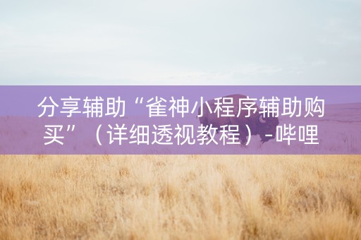分享辅助“雀神小程序辅助购买”（详细透视教程）-哔哩哔哩