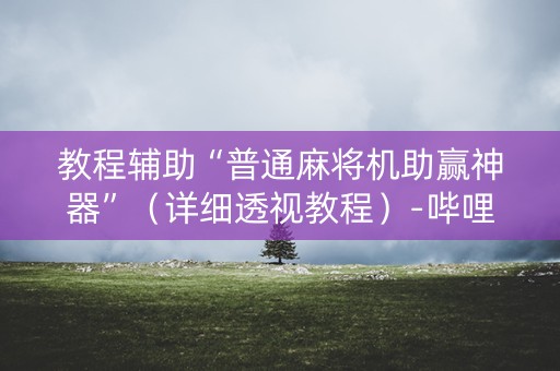 教程辅助“普通麻将机助赢神器”（详细透视教程）-哔哩哔哩