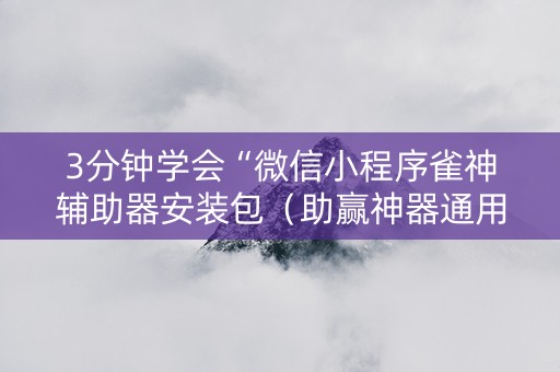 3分钟学会“微信小程序雀神辅助器安装包（助赢神器通用版）