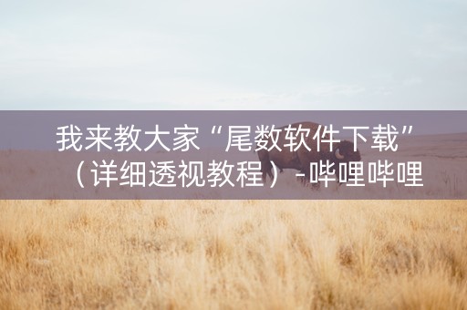 我来教大家“尾数软件下载”（详细透视教程）-哔哩哔哩