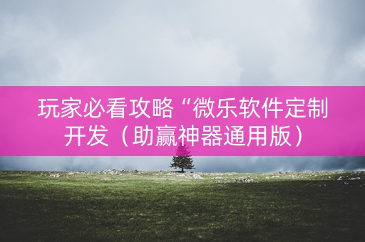 玩家必看攻略“微乐软件定制开发（助赢神器通用版）