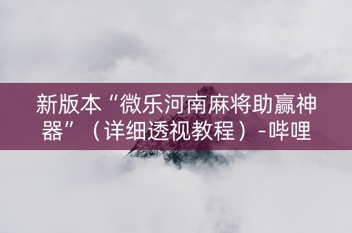 新版本“微乐河南麻将助赢神器”（详细透视教程）-哔哩哔哩