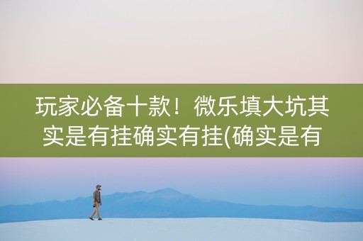 玩家必备十款！微乐填大坑其实是有挂确实有挂(确实是有挂)