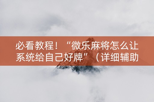 必看教程！“微乐麻将怎么让系统给自己好牌”（详细辅助教程）-哔哩哔哩