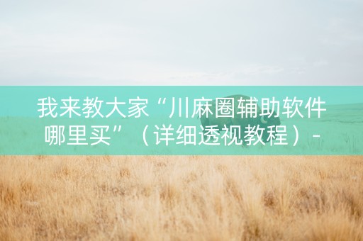 我来教大家“川麻圈辅助软件哪里买”（详细透视教程）-哔哩哔哩