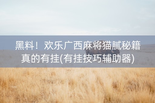 黑料！欢乐广西麻将猫腻秘籍真的有挂(有挂技巧辅助器)