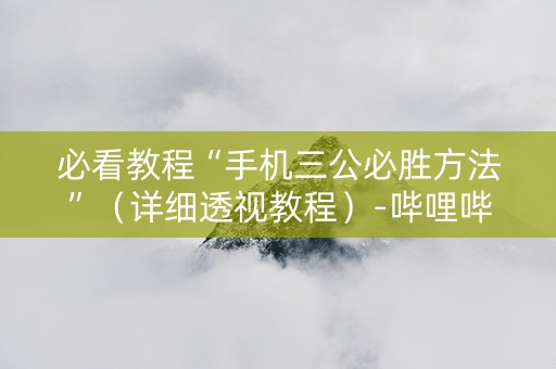 必看教程“手机三公必胜方法”（详细透视教程）-哔哩哔哩