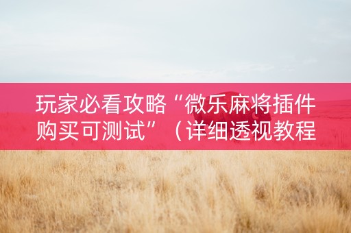 玩家必看攻略“微乐麻将插件购买可测试”（详细透视教程）-哔哩哔哩