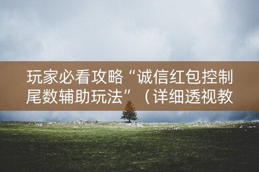 玩家必看攻略“诚信红包控制尾数辅助玩法”（详细透视教程）-哔哩哔哩