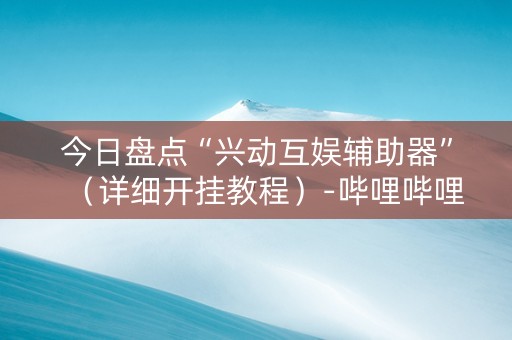 今日盘点“兴动互娱辅助器”（详细开挂教程）-哔哩哔哩