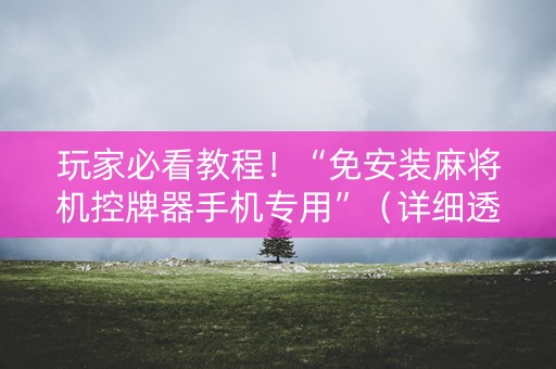 玩家必看教程！“免安装麻将机控牌器手机专用”（详细透视教程）-哔哩哔哩