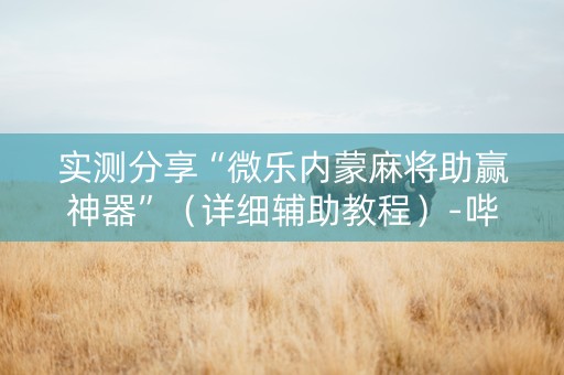 实测分享“微乐内蒙麻将助赢神器”（详细辅助教程）-哔哩哔哩