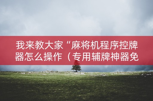 我来教大家“麻将机程序控牌器怎么操作（专用辅牌神器免安装）