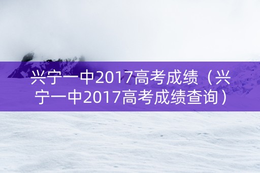 兴宁一中2017高考成绩（兴宁一中2017高考成绩查询）