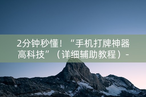 2分钟秒懂！“手机打牌神器高科技”（详细辅助教程）-哔哩哔哩