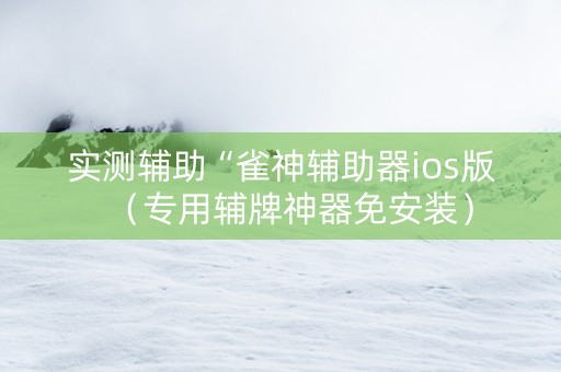 实测辅助“雀神辅助器ios版（专用辅牌神器免安装）