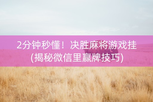 2分钟秒懂！决胜麻将游戏挂(揭秘微信里赢牌技巧)