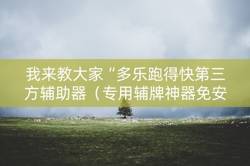 我来教大家“多乐跑得快第三方辅助器（专用辅牌神器免安装）