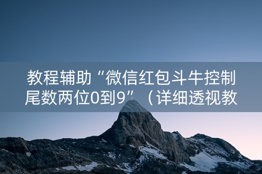 教程辅助“微信红包斗牛控制尾数两位0到9”（详细透视教程）-哔哩哔哩