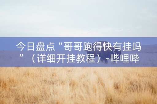 今日盘点“哥哥跑得快有挂吗”（详细开挂教程）-哔哩哔哩