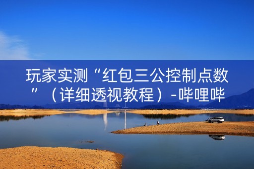 玩家实测“红包三公控制点数”（详细透视教程）-哔哩哔哩