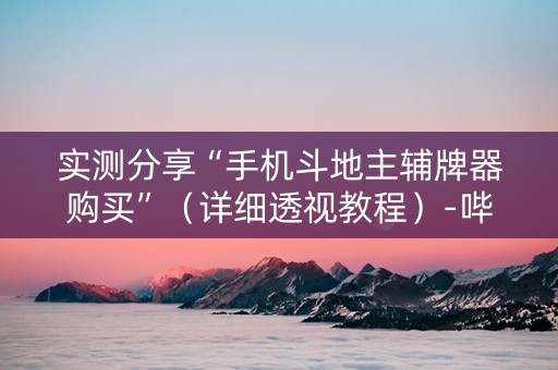 实测分享“手机斗地主辅牌器购买”（详细透视教程）-哔哩哔哩
