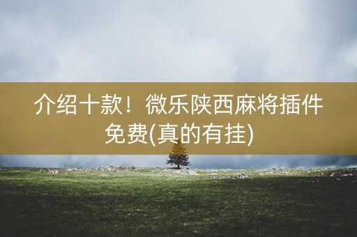 介绍十款！微乐陕西麻将插件免费(真的有挂)