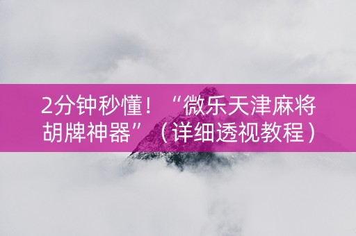 2分钟秒懂！“微乐天津麻将胡牌神器”（详细透视教程）-哔哩哔哩