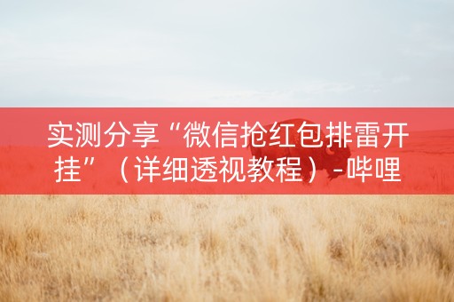 实测分享“微信抢红包排雷开挂”（详细透视教程）-哔哩哔哩