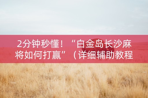 2分钟秒懂！“白金岛长沙麻将如何打赢”（详细辅助教程）-哔哩哔哩