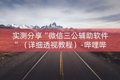 实测分享“微信三公辅助软件”（详细透视教程）-哔哩哔哩