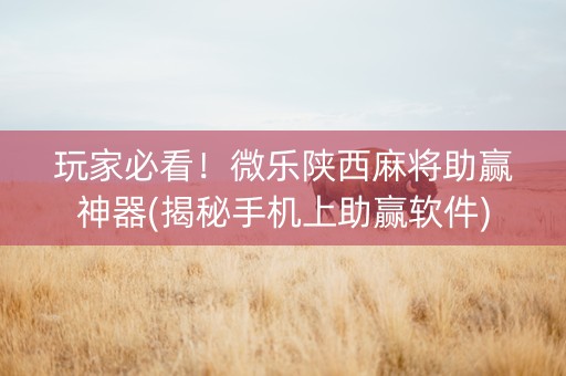 玩家必看！微乐陕西麻将助赢神器(揭秘手机上助赢软件)