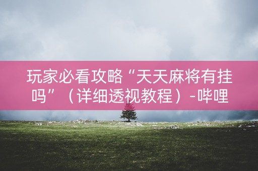 玩家必看攻略“天天麻将有挂吗”（详细透视教程）-哔哩哔哩