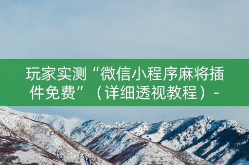 玩家实测“微信小程序麻将插件免费”（详细透视教程）-哔哩哔哩