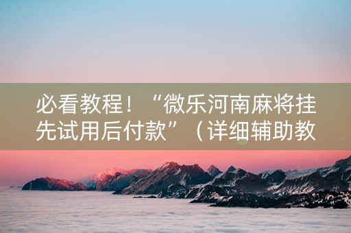 必看教程！“微乐河南麻将挂先试用后付款”（详细辅助教程）-哔哩哔哩