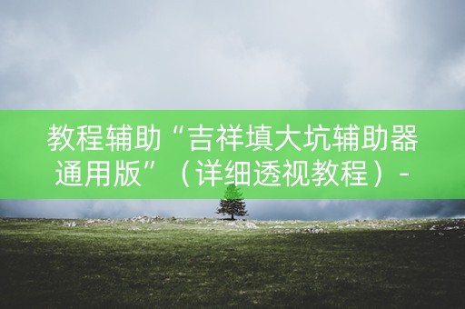教程辅助“吉祥填大坑辅助器通用版”（详细透视教程）-哔哩哔哩