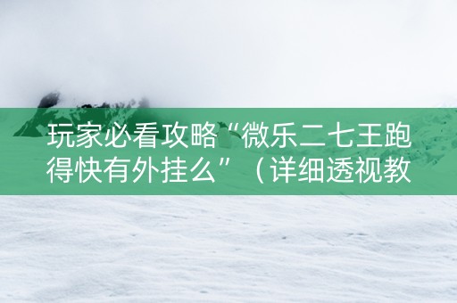 玩家必看攻略“微乐二七王跑得快有外挂么”（详细透视教程）-哔哩哔哩