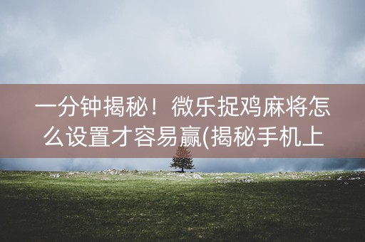 一分钟揭秘！微乐捉鸡麻将怎么设置才容易赢(揭秘手机上提高胜率)
