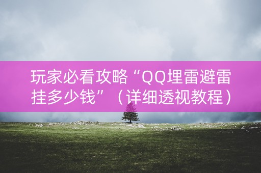 玩家必看攻略“QQ埋雷避雷挂多少钱”（详细透视教程）-哔哩哔哩