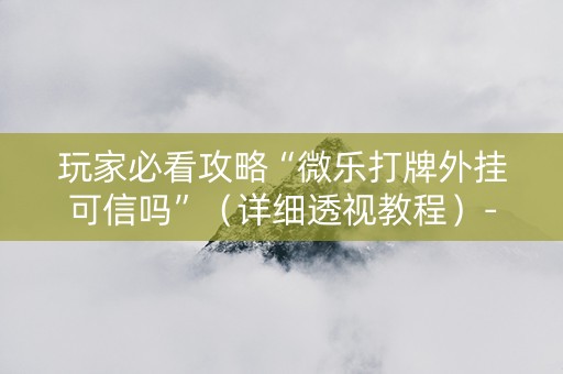 玩家必看攻略“微乐打牌外挂可信吗”（详细透视教程）-哔哩哔哩