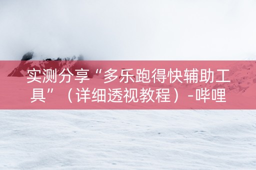 实测分享“多乐跑得快辅助工具”（详细透视教程）-哔哩哔哩