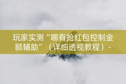 玩家实测“哪有抢红包控制金额辅助”（详细透视教程）-哔哩哔哩