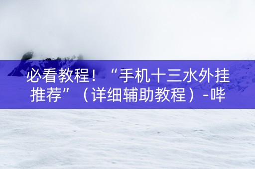 必看教程！“手机十三水外挂推荐”（详细辅助教程）-哔哩哔哩