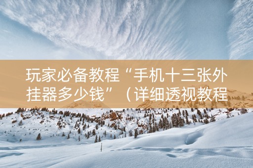 玩家必备教程“手机十三张外挂器多少钱”（详细透视教程）-哔哩哔哩