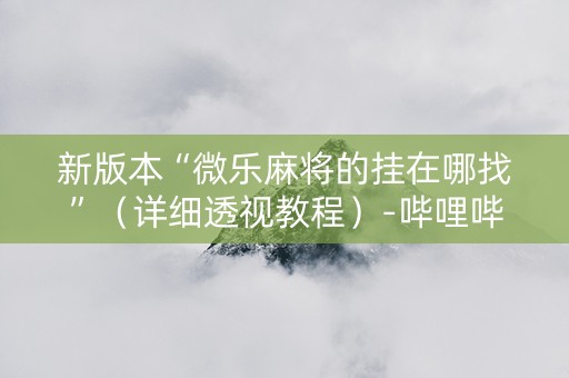 新版本“微乐麻将的挂在哪找”（详细透视教程）-哔哩哔哩